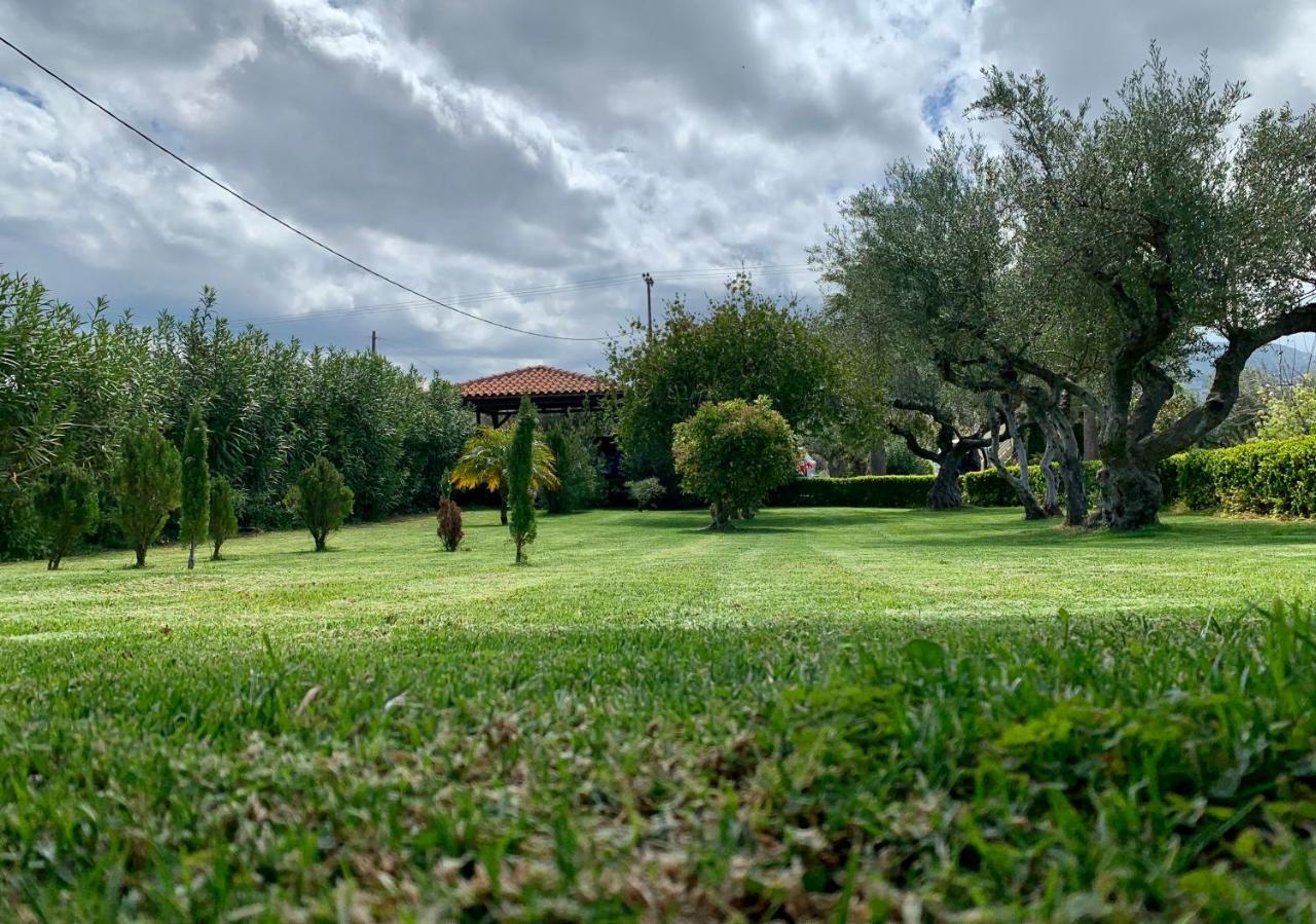 Aggelos And Thisbe Chania Suburbs Sea View Guest House Exterior foto